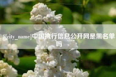 菏泽中国执行信息公开网是黑名单吗