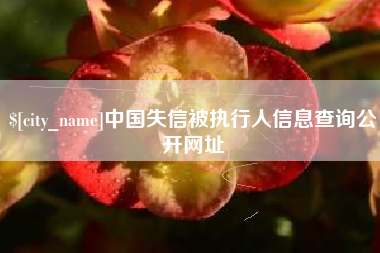 菏泽中国失信被执行人信息查询公开网址