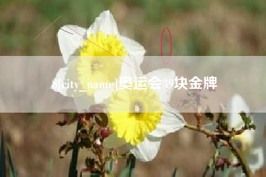 菏泽奥运会39块金牌