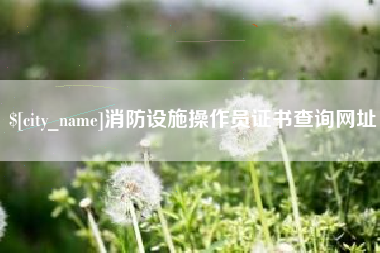 菏泽消防设施操作员证书查询网址