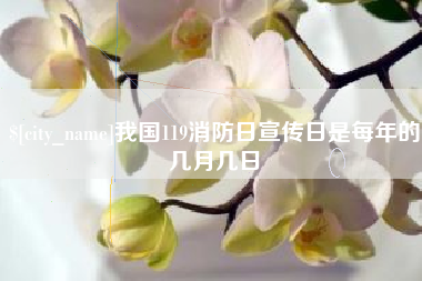 菏泽我国119消防日宣传日是每年的几月几日