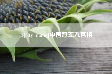 菏泽中国冠军九宫格