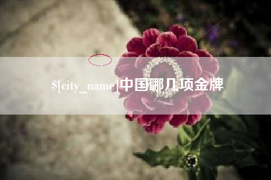 菏泽中国哪几项金牌