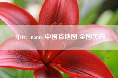 菏泽中国省地图 全图黑白