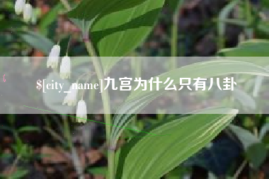 菏泽九宫为什么只有八卦