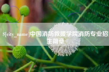 菏泽中国消防救援学院消防专业招生简章