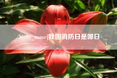 菏泽我国消防日是哪日