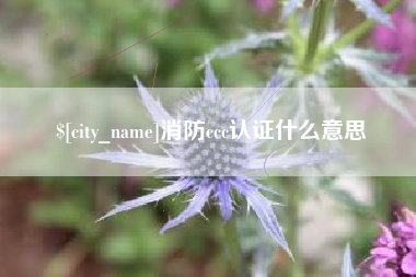 菏泽消防ccc认证什么意思