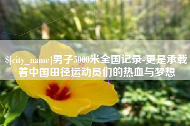 菏泽男子5000米全国记录-更是承载着中国田径运动员们的热血与梦想