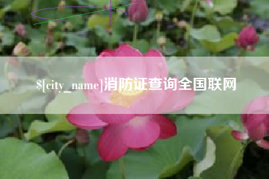 菏泽消防证查询全国联网