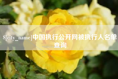 菏泽中国执行公开网被执行人名单查询