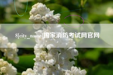 菏泽国家消防考试网官网