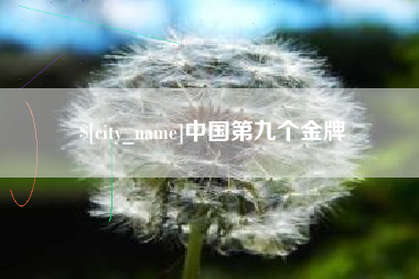 菏泽中国第九个金牌