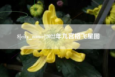 菏泽2022年九宫格飞星图