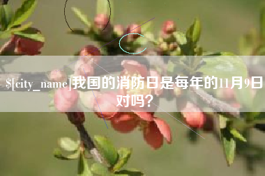 菏泽我国的消防日是每年的11月9日对吗？