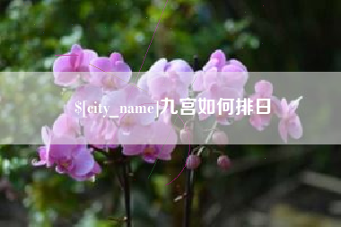 菏泽九宫如何排日