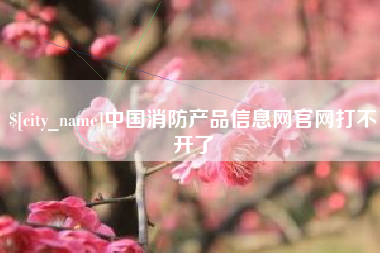菏泽中国消防产品信息网官网打不开了