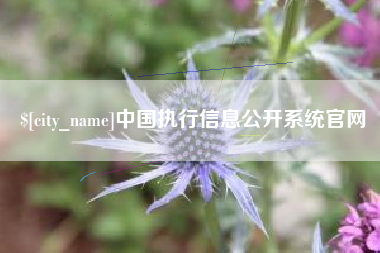 菏泽中国执行信息公开系统官网