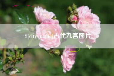 菏泽古代九宫图片