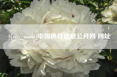 菏泽中国执行信息公开网 网址