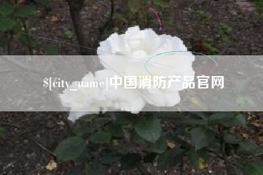 菏泽中国消防产品官网