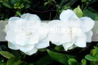 菏泽中国的几块金牌2021