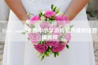 菏泽全国中小学消防公开课网络直播视频