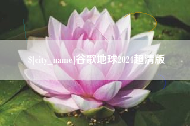 菏泽谷歌地球2024超清版