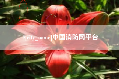 菏泽中国消防网平台