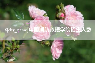 菏泽中国消防救援学院招生人数
