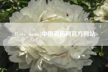 菏泽中国消防网官方网站