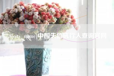 菏泽中国失信执行人查询官网
