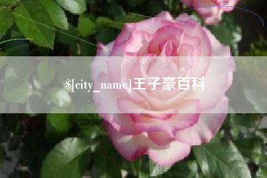 菏泽王子豪百科
