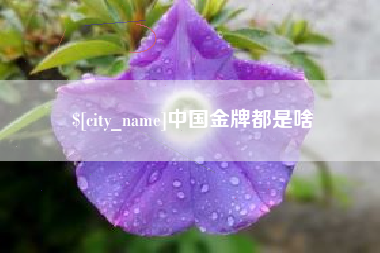 菏泽中国金牌都是啥