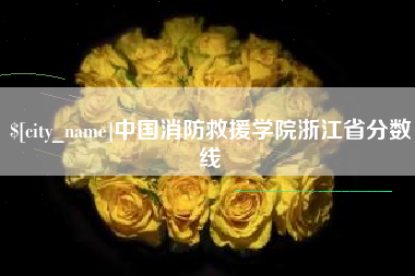 菏泽中国消防救援学院浙江省分数线