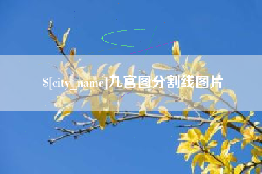 菏泽九宫图分割线图片