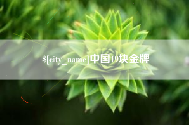 菏泽中国19块金牌