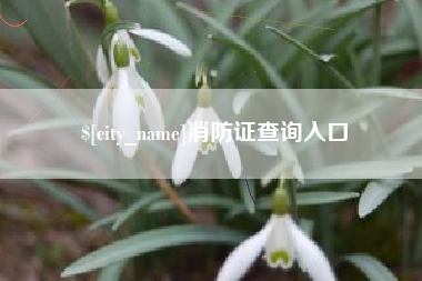 菏泽消防证查询入口