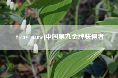 菏泽中国第九金牌获得者