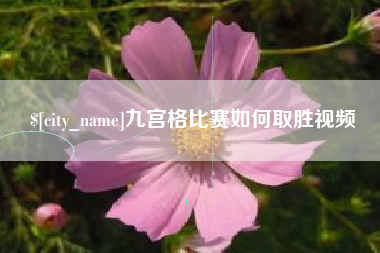 菏泽九宫格比赛如何取胜视频