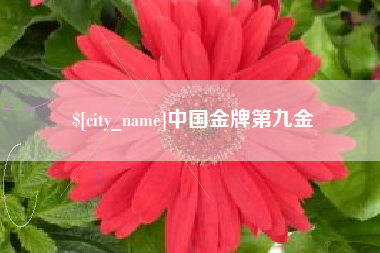 菏泽中国金牌第九金