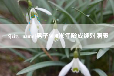 菏泽男子5000米年龄成绩对照表