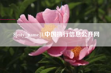 菏泽1.中国执行信息公开网