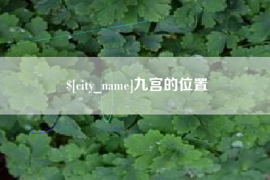 菏泽九宫的位置