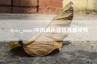菏泽中国消防现场直播视频