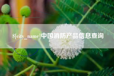 菏泽中国消防产品信息查询