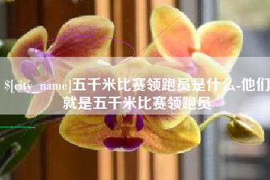 菏泽五千米比赛领跑员是什么-他们就是五千米比赛领跑员