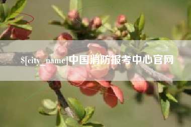 菏泽中国消防报考中心官网