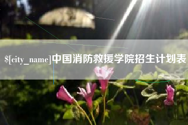 菏泽中国消防救援学院招生计划表