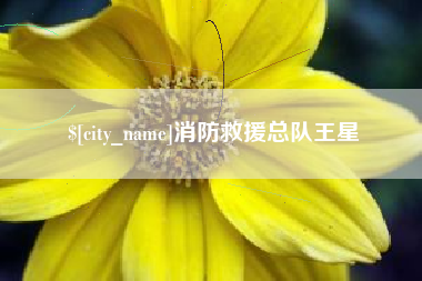 菏泽消防救援总队王星